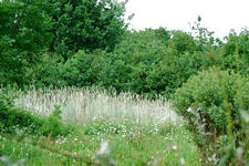 heemtuin_225x150_033.jpg