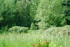 heemtuin_225x150_041.jpg