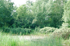 heemtuin_225x150_043.jpg