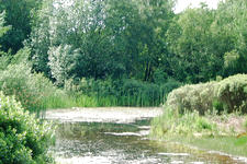 heemtuin_225x150_044.jpg