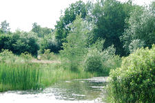 heemtuin_225x150_045.jpg