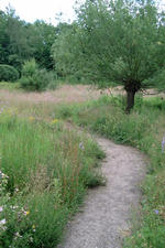 heemtuin_150x225_026.jpg