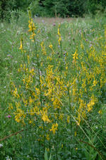 heemtuin_150x225_027.jpg