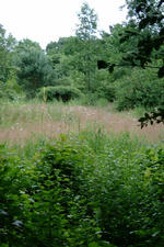 heemtuin_150x225_043.jpg