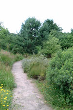 heemtuin_150x225_065.jpg