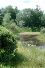 heemtuin_150x225_088.jpg