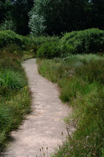 heemtuin_150x225_091.jpg