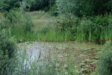 heemtuin_225x150_014.jpg