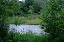 heemtuin_225x150_018.jpg