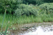 heemtuin_225x150_019.jpg