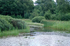 heemtuin_225x150_020.jpg