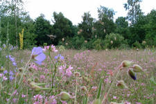 heemtuin_225x150_025.jpg