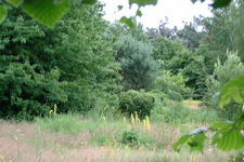heemtuin_225x150_042.jpg