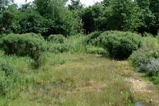 heemtuin_225x150_058.jpg