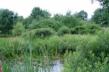 heemtuin_225x150_067.jpg
