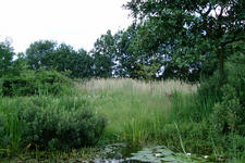 heemtuin_225x150_068.jpg