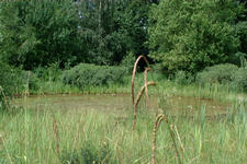 heemtuin_225x150_082.jpg