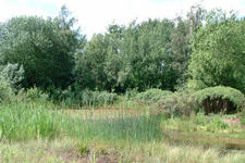 heemtuin_225x150_087.jpg