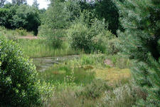 heemtuin_225x150_090.jpg