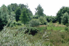 heemtuin_225x150_092.jpg