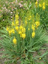 heemtuin_170x227_047.jpg