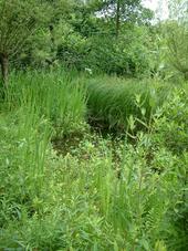 heemtuin_170x227_097.jpg