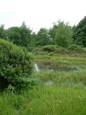heemtuin_170x227_106.jpg