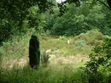 heemtuin_227x170_040.jpg