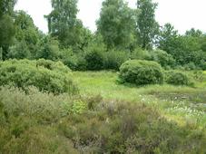 heemtuin_227x170_045.jpg