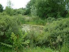heemtuin_227x170_048.jpg