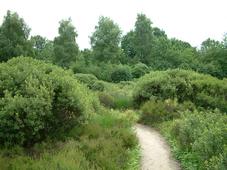heemtuin_227x170_049.jpg