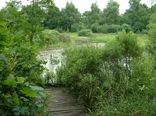 heemtuin_227x170_052.jpg