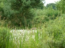 heemtuin_227x170_090.jpg