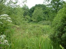 heemtuin_227x170_098.jpg