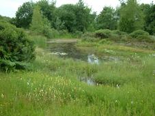 heemtuin_227x170_105.jpg