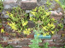 heemtuin_227x170_107.jpg