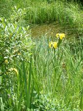 heemtuin_170x227_001.jpg