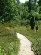 heemtuin_170x227_009.jpg