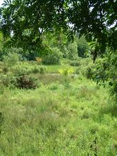 heemtuin_170x227_011.jpg