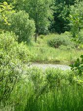 heemtuin_170x227_012.jpg