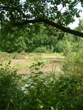 heemtuin_170x227_017.jpg