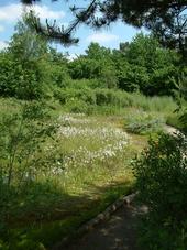heemtuin_170x227_028.jpg