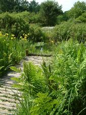 heemtuin_170x227_036.jpg