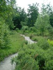 heemtuin_170x227_046.jpg