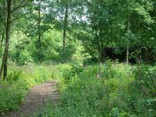 heemtuin_227x170_003.jpg