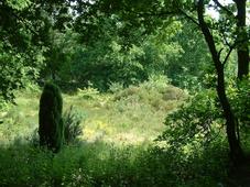 heemtuin_227x170_006.jpg