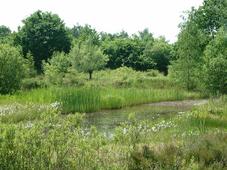 heemtuin_227x170_007.jpg