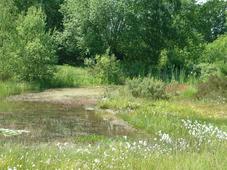 heemtuin_227x170_008.jpg