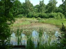 heemtuin_227x170_015.jpg