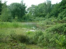 heemtuin_227x170_045.jpg